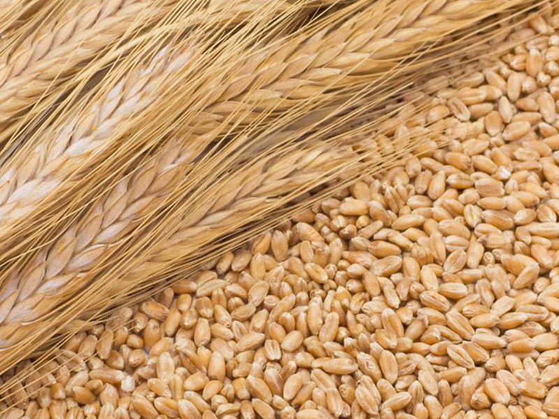 糧食重金屬檢測(cè)儀可以檢測(cè)糧食制品嗎 糧食重金屬檢測(cè)儀可以檢測(cè)糧食制品嗎