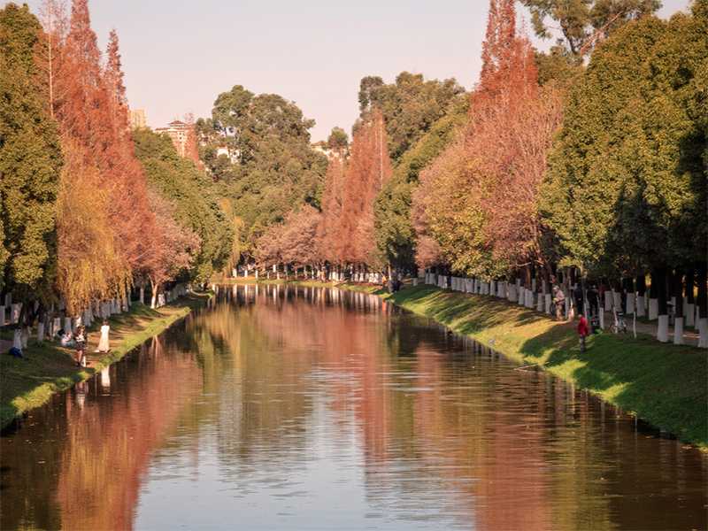 水質(zhì)檢測儀是什么原理(水質(zhì)檢測儀器檢測是什么指標)